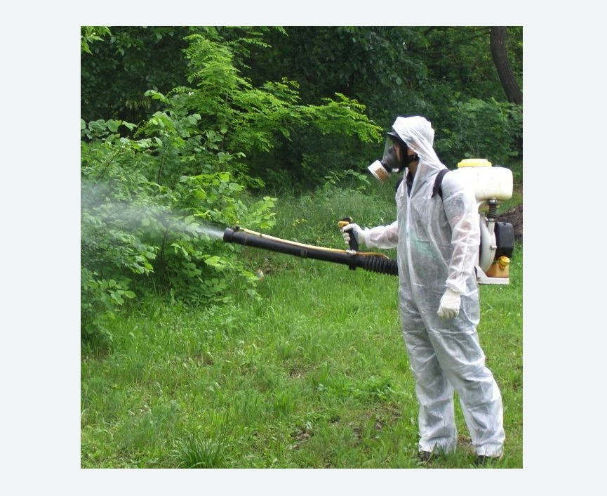 обработка территории от клещей Верхнее Дуброво