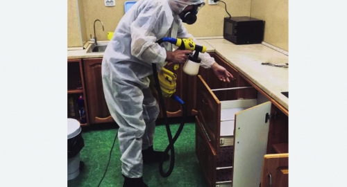 Уничтожение насекомых в квартире. Верхнее Дуброво