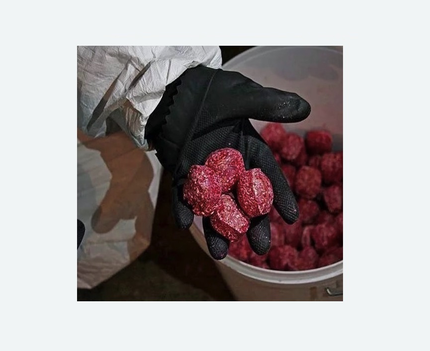 Обработка от крыс Верхнее Дуброво