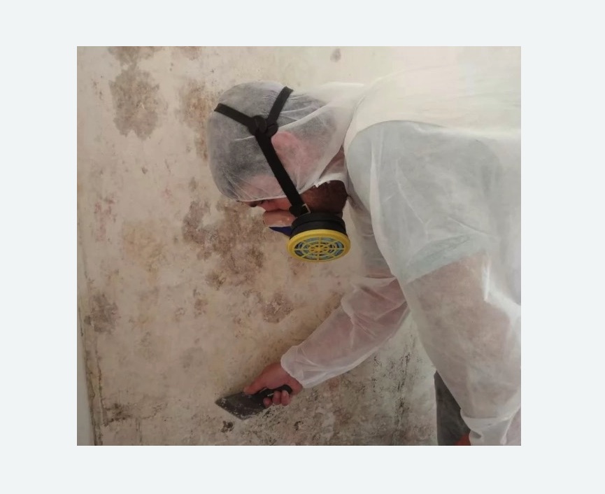 Обработка стен от плесени Обработка стен от плесени Верхнее Дуброво
