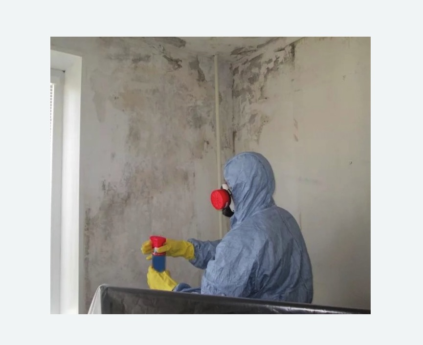 Удаление плесени в квартире Удаление плесени в квартире Верхнее Дуброво