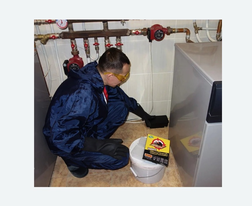 Уничтожение крыс Верхнее Дуброво