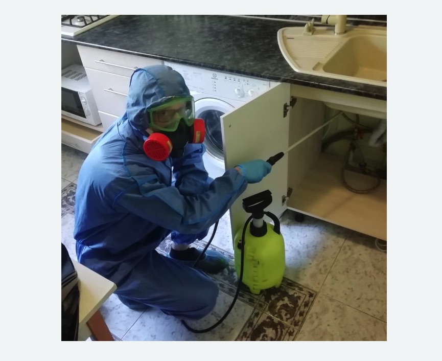 обработка от муравьев в квартире Верхнее Дуброво