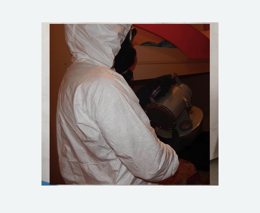 Дезинфекция от муравьев Верхнее Дуброво