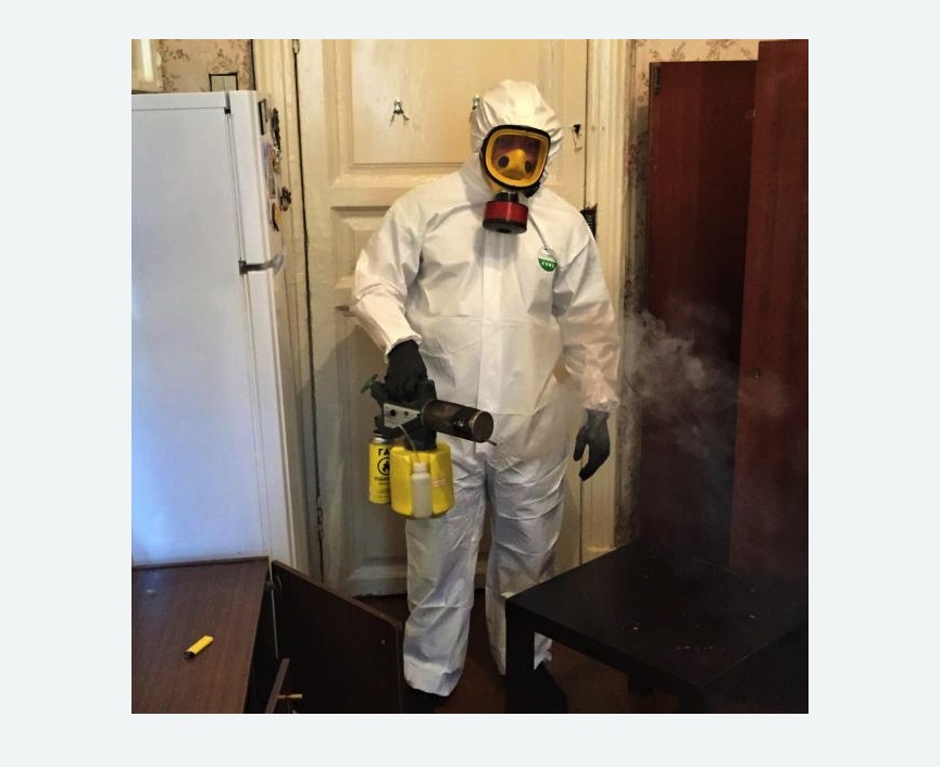 уничтожение муравьев в квартире Верхнее Дуброво